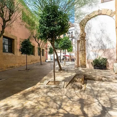 Apartment Tgn-historiccenter-playamediterrani-gastro-wifi-ac14 *